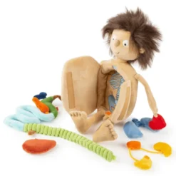 Anatomiepuppe Erwin