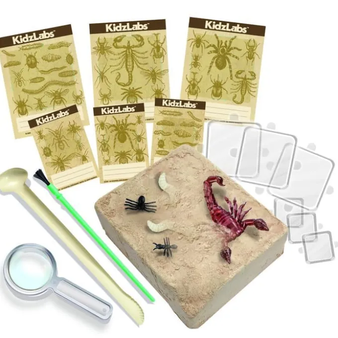 Ausgrabset Kribbelkrabbeltiere