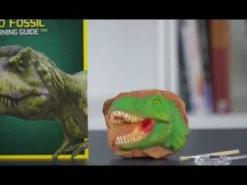 Ausgrabung - Dinofossile