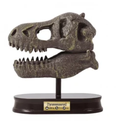 Ausgrabungsset – T-Rex