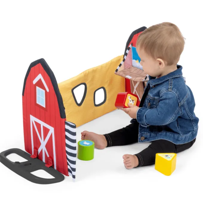 Baby Einstein – Aktivitätsdecke, Busy Barnyard