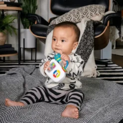 Baby Einstein - Maritime Melodien