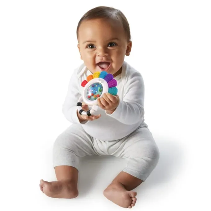 Baby Einstein Rassel- und Beißring