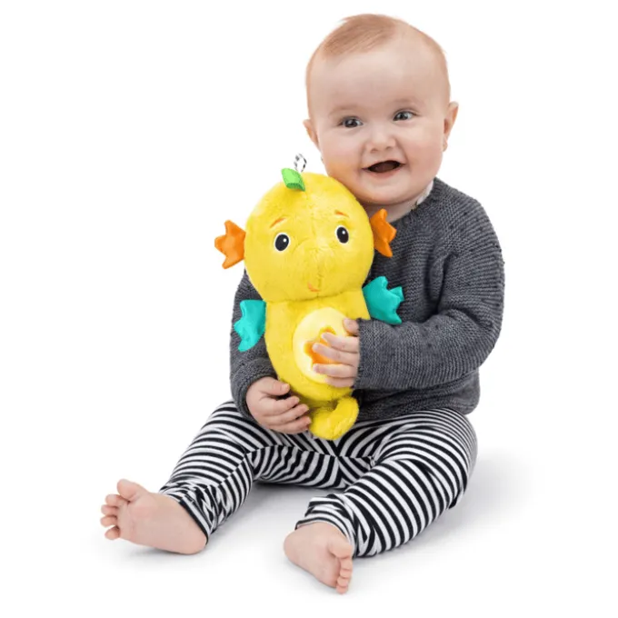 Baby Einstein - Seepferdchen mit Licht und Musik