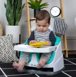 Baby Einstein - Seestern Aktivitätsspielzeug