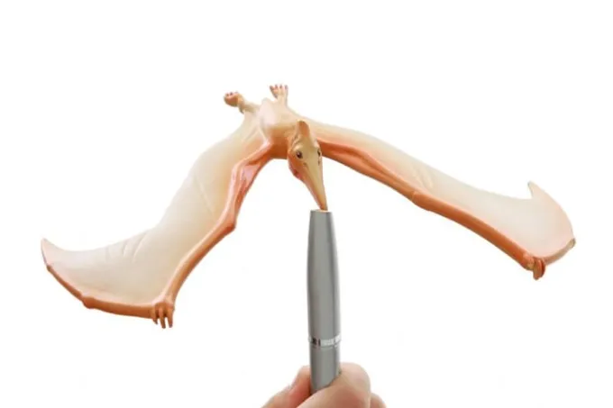 Balanciervogel Flugechse Pteranodon