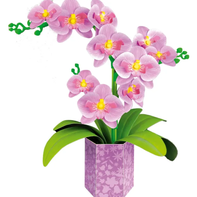 Baue eine Blume (Papier) - Orchidee