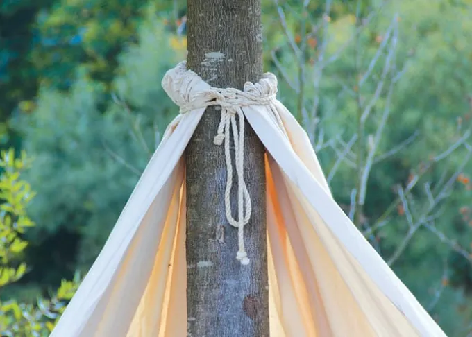 Baum-Tipi