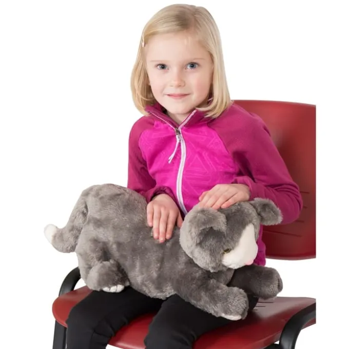 Beruhigende Therapiekatze - 1,9 kg