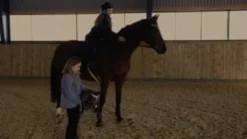 byASTRUP Steckenpferd – Schwarz „Thor“