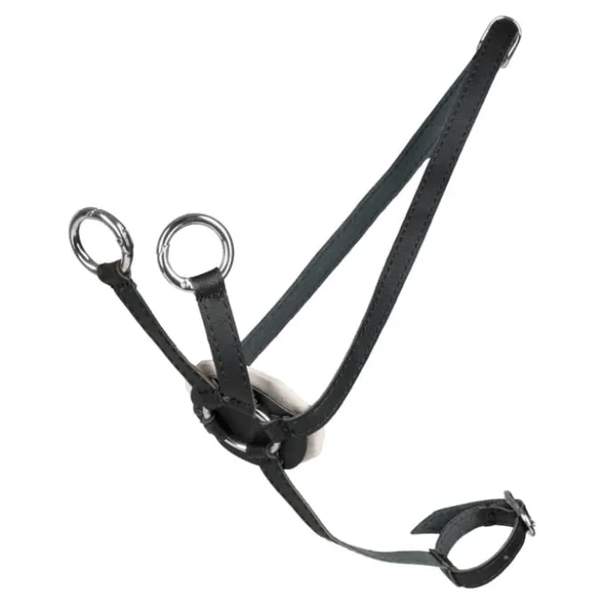 Cheval Roi - Martingal, schwarz/silber