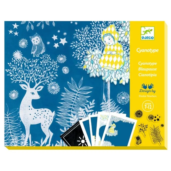 Cyanotypie (Lichtdruck) – Im Mondschein