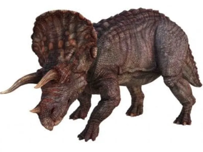 Dia-Projektor - Dinosaurier