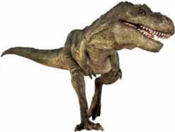 Dia-Projektor - Dinosaurier