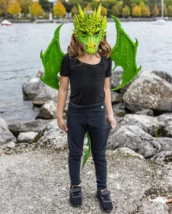 Drachenflügel - grün
