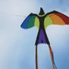 Drachen Paradiesvogel - 130 x 75 cm