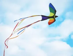 Drachen Paradiesvogel - 130 x 75 cm