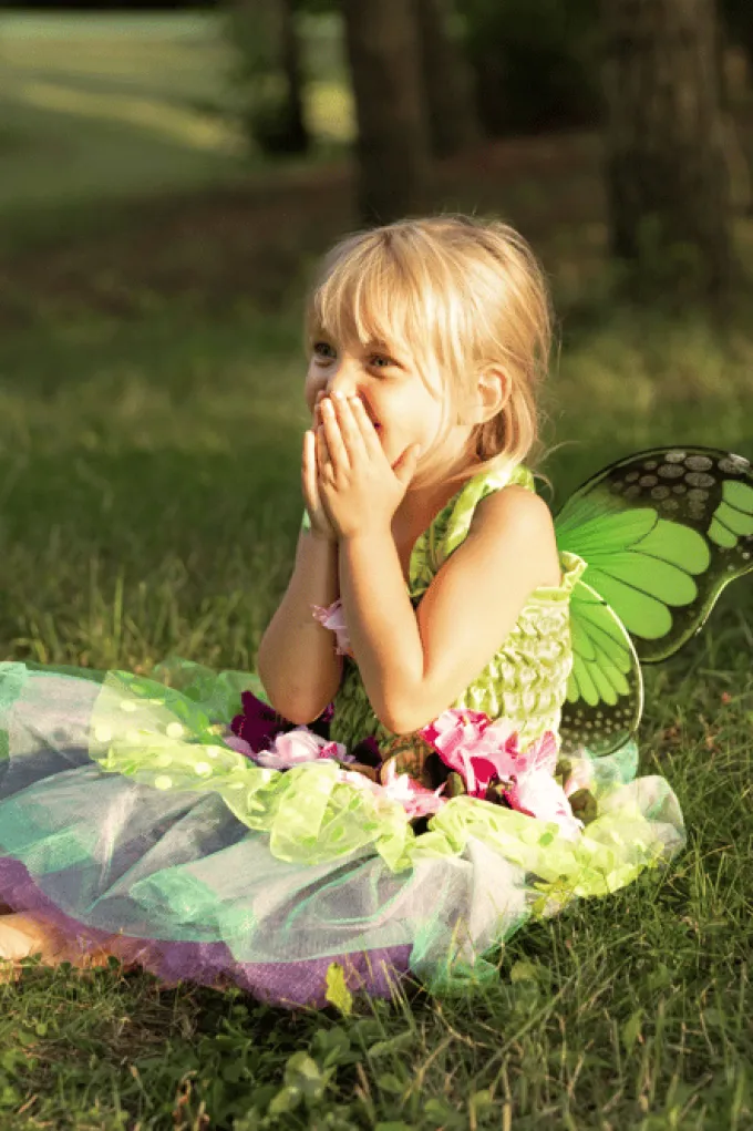 Feenkostüm mit Flügeln (2-4 Jahre)