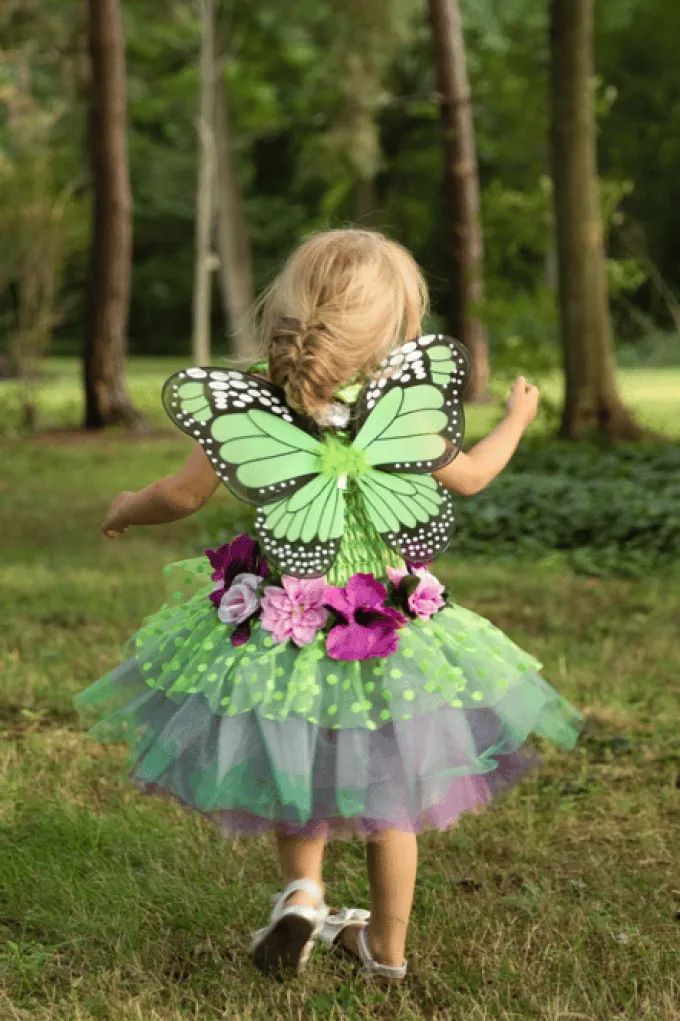 Feenkostüm mit Flügeln (2-4 Jahre)