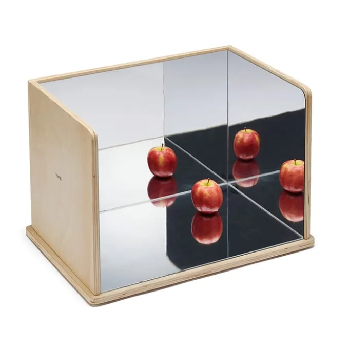 Forscher-Spiegel