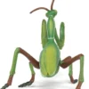 Gottesanbeterin (L: 10 cm)
