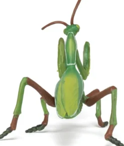 Gottesanbeterin (L: 10 cm)