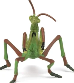 Gottesanbeterin (L: 10 cm)