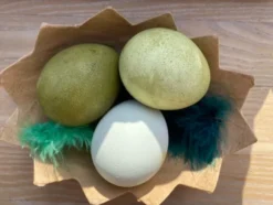 Halbe Eierschalen aus Karton, 4 Stk