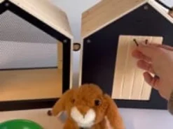 Hasenstall mit Auslauf