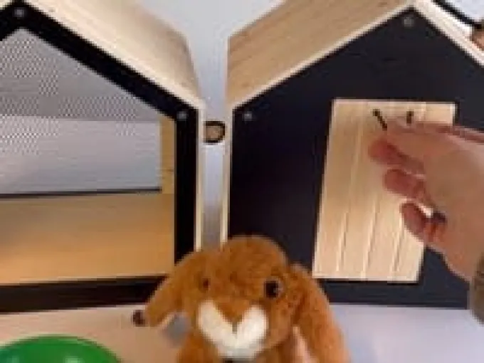 Hasenstall mit Auslauf