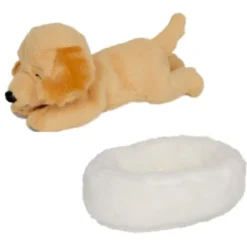 Hund Isi im Korb