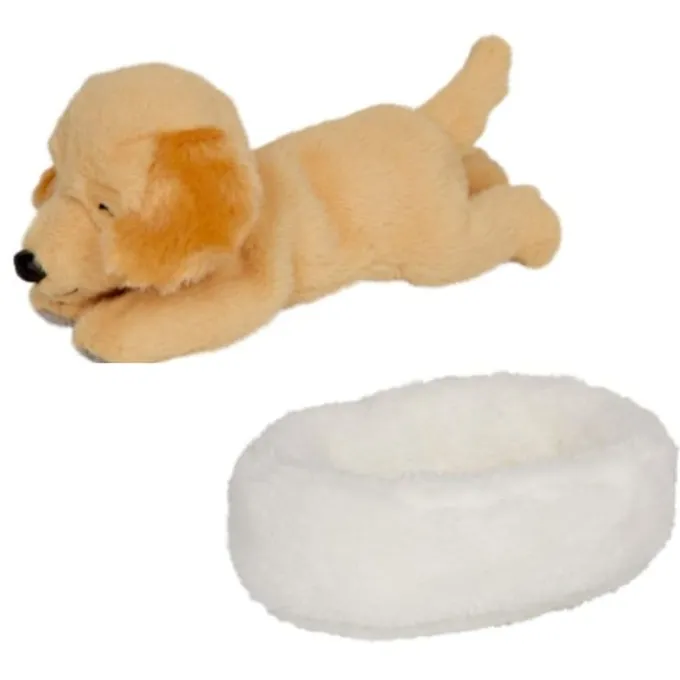 Hund Isi im Korb