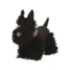 Hund Walter
