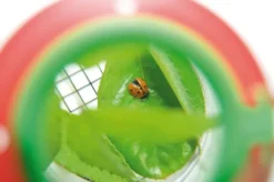 Insektenglas mit Vergrößerungsglas - Ø 6 cm