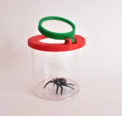 Insektenglas mit Vergrößerungsglas - Ø 6 cm