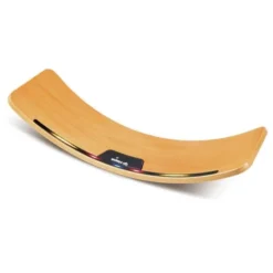 Intelligentes Balance Board