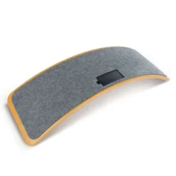Intelligentes Balance Board