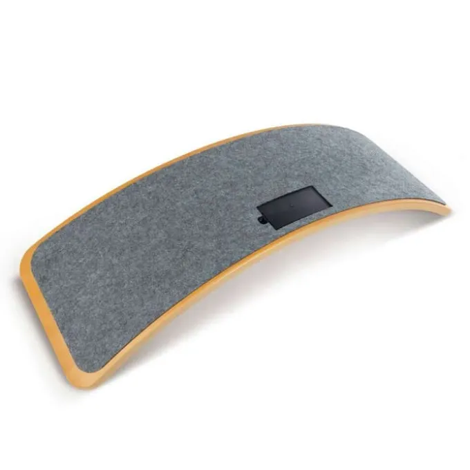 Intelligentes Balance Board