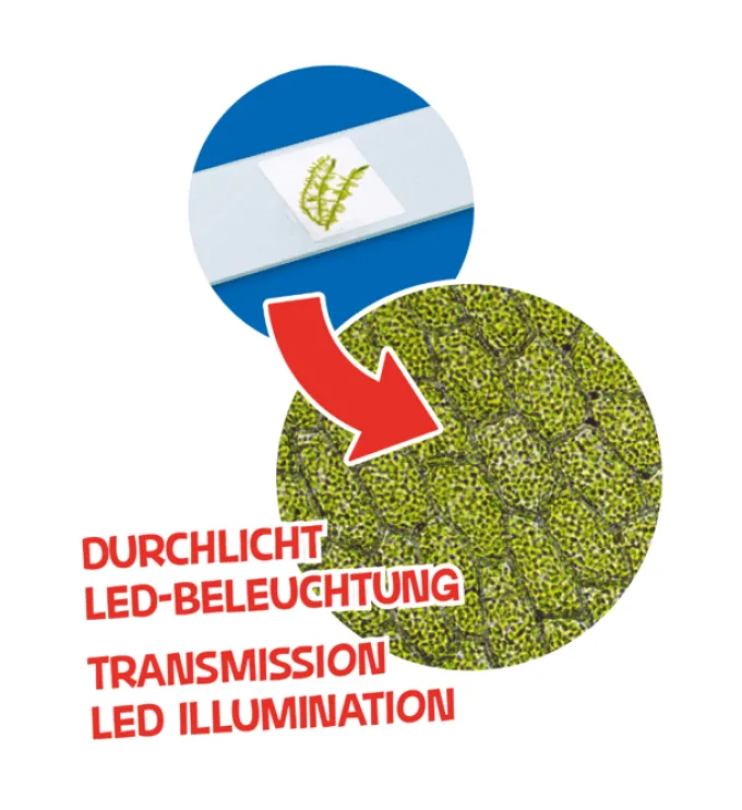 Junior Kindermikroskop m. LED, 40x-640x
