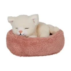 Katze Nala im Korb