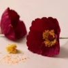 Krepppapier Bastelset Mini - Mohnblumen