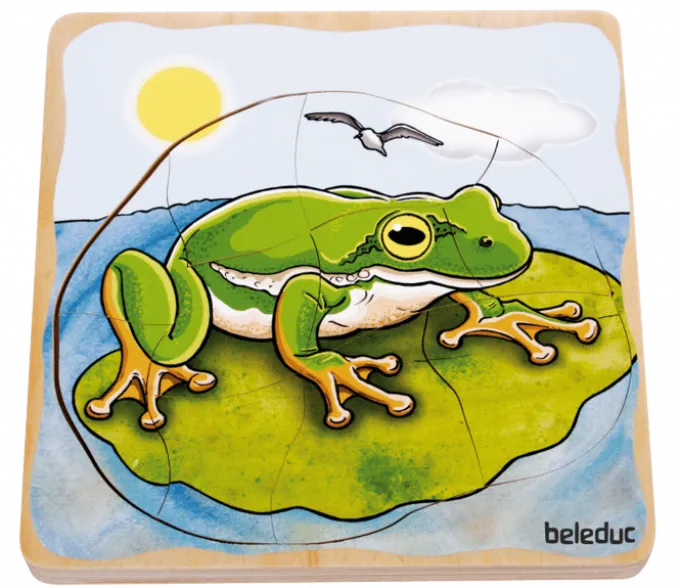 Lagenpuzzle - Frosch