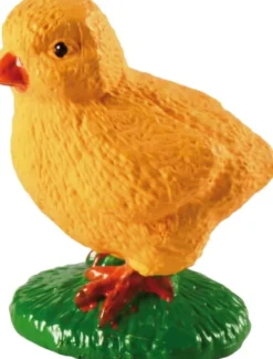 Lebenszyklus - Vom Ei zum Huhn