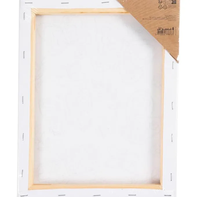 Leinwand Ausmalen 24x30 cm - Schmetterlinge