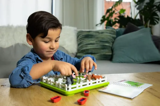 Logikspiel Smart Farmer