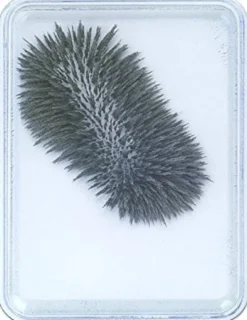 Magnetfenster mit Eisenpulver - Klein