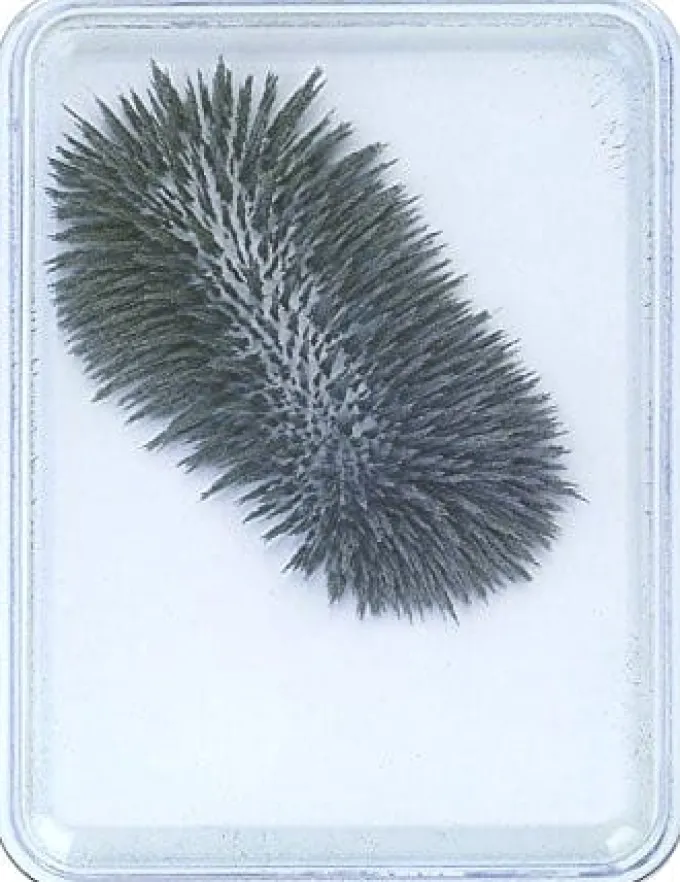 Magnetfenster mit Eisenpulver - Klein