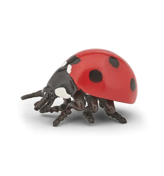 Marienkäfer (L: 3,2 cm)