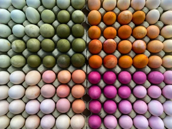 Naturfarben für Eier - 5 Farben