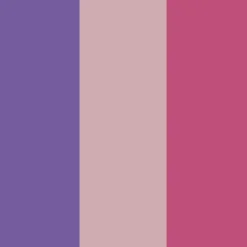 Plus Color Filzer - Rosa, Lila, Pink